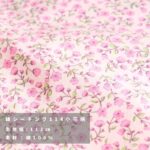 ta1912107-tan