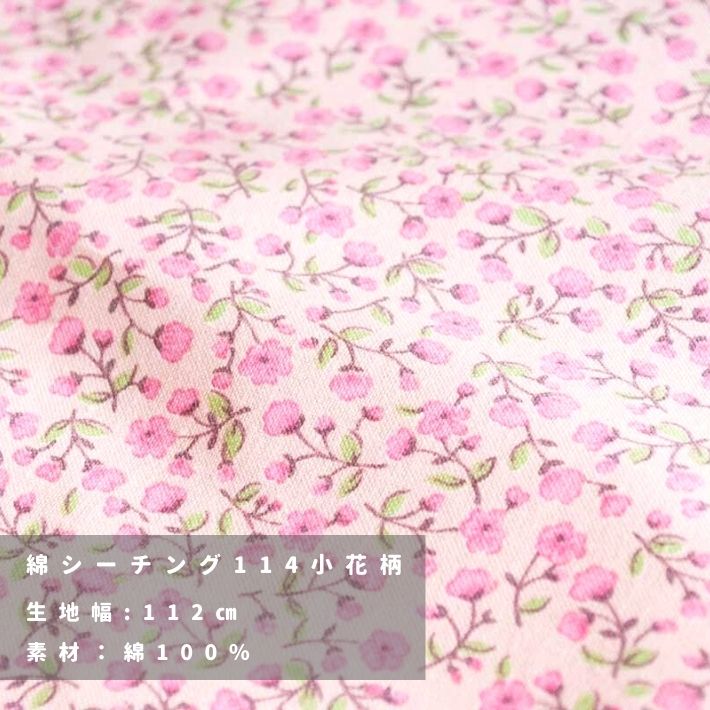 ta1912107-tan