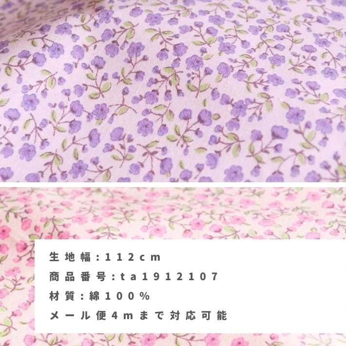ta1912107-tan
