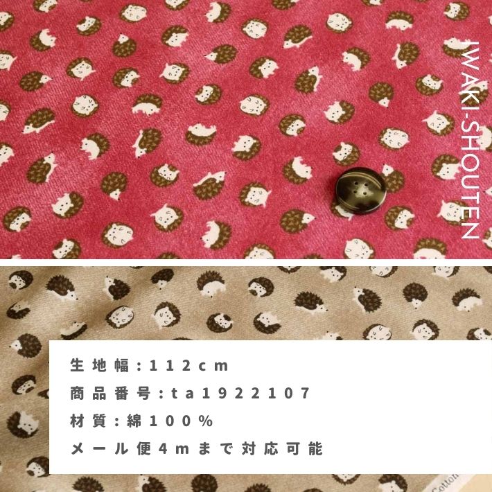 ta1922107-tan
