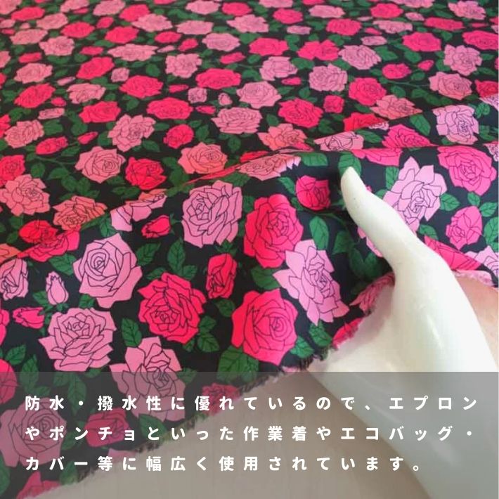 a9951906-cut