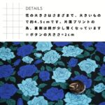 a9951906-cut