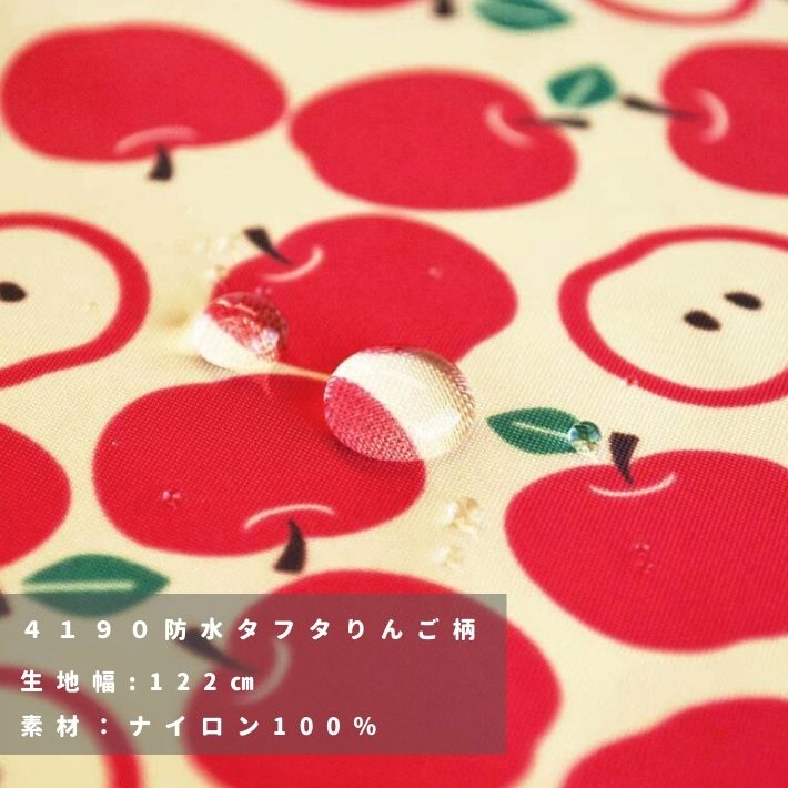 co41902102-cut