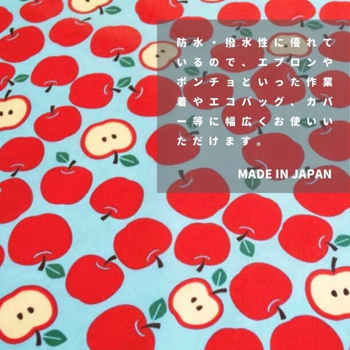 co41902102-cut