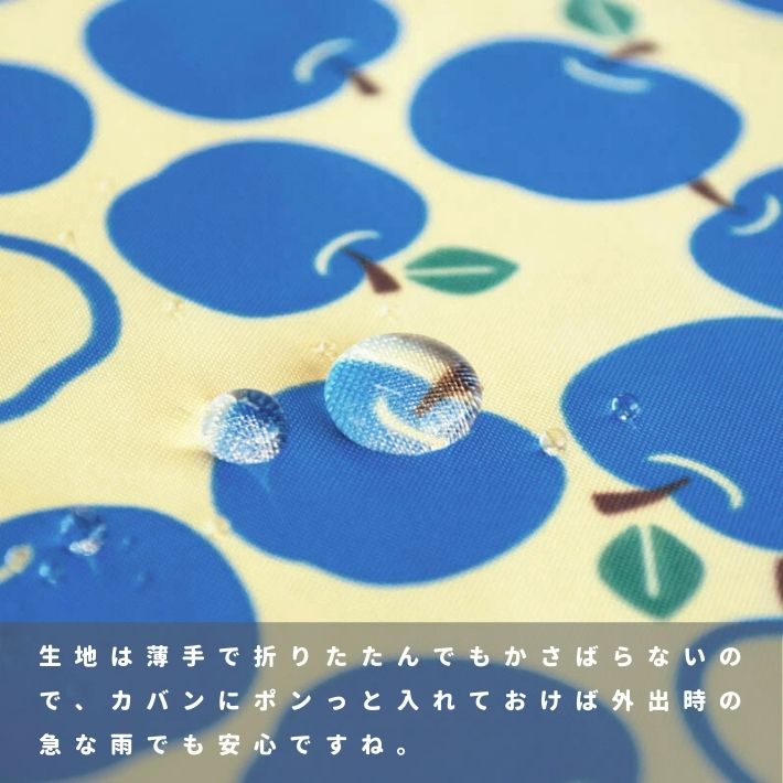 co41902102-cut