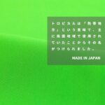 i13717061-tan
