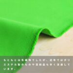 i13717061-tan
