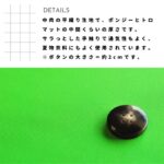 i13717061-tan
