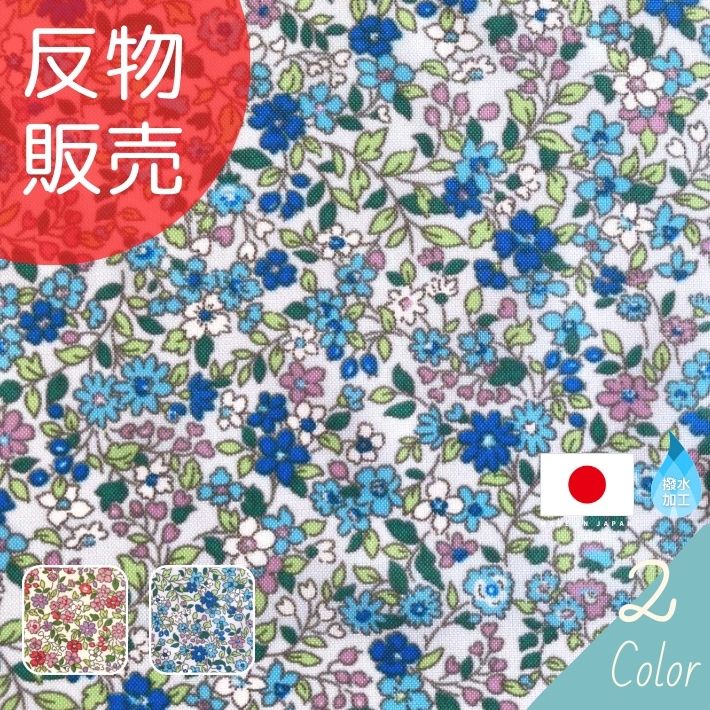 ne00262307-tan