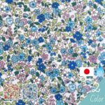 ne00262307-san