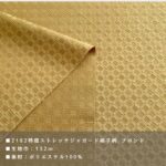 dy21822505-cut