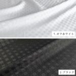 dy22002506-cut
