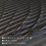 dy22012506-cut