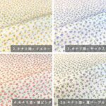 ne00572506-cut