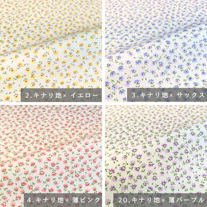 ne00572506-cut
