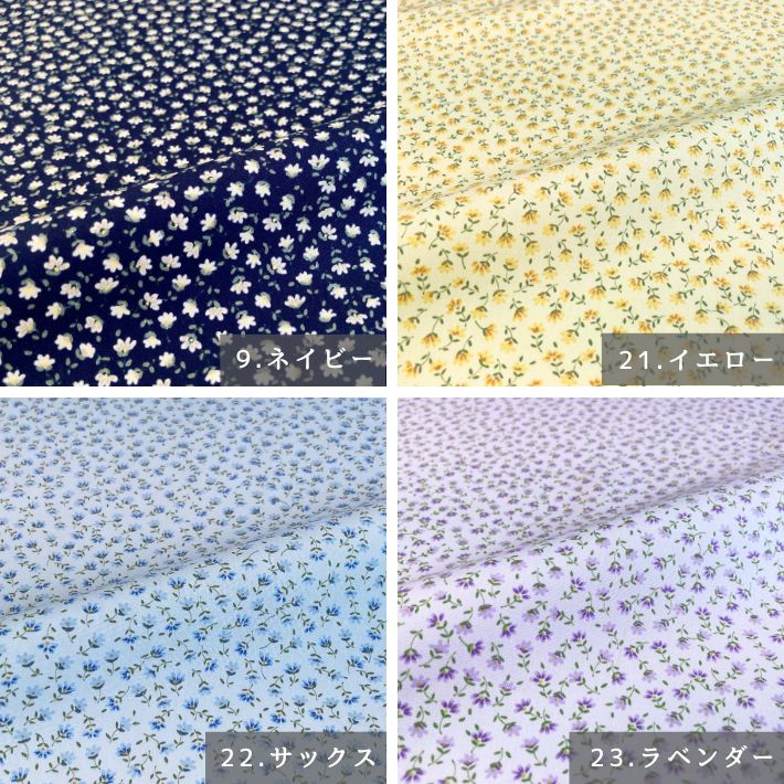 ne00572506-cut