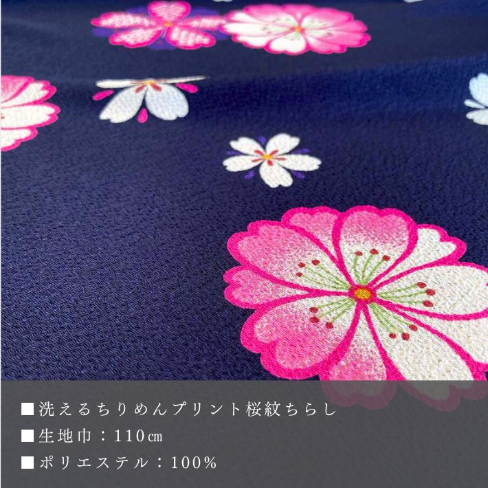 ne00622509-cut
