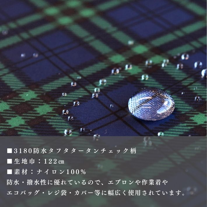co31802215-cut