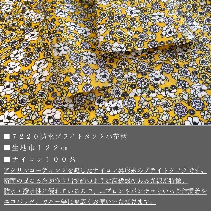 co72202605-cut