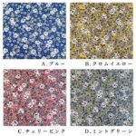 co72202605-cut