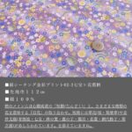 ne00842606-cut