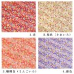 ne00842606-cut