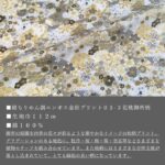 ne00852606-cut