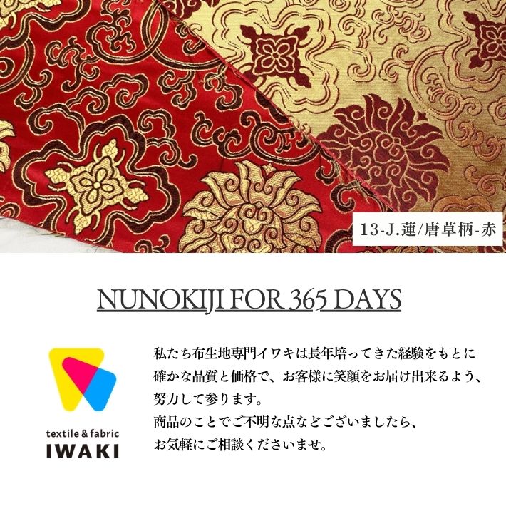 ne00862607-cut