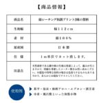 ne00902609-cut